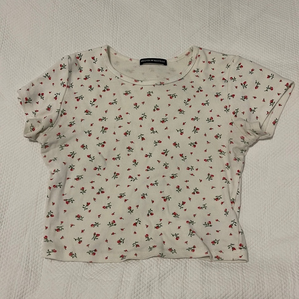 Brandy Melville Cropped Top